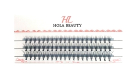 10D Pre-Fanned Russian Volume Lashes HV10B